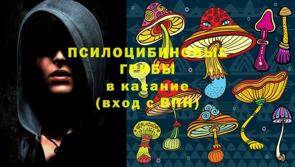 MDMA Богородск