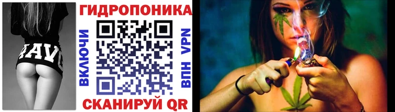 Бошки Шишки семена  Духовщина 